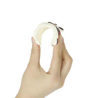 Kleurrijk Baby Gepersonaliseerd Silicone Teether met Schapenpaard Dino Shape