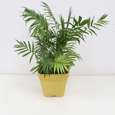 De multi Functionele Pot Eco van de Siliconebloem Vriendschappelijk met Aangepast Embleem