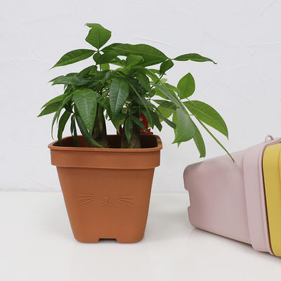 De multi Functionele Pot Eco van de Siliconebloem Vriendschappelijk met Aangepast Embleem