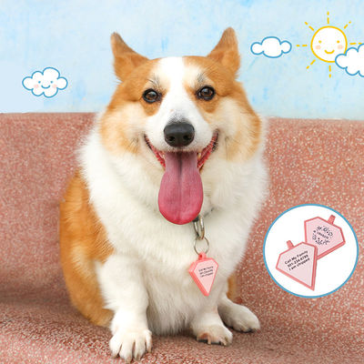 PAISEN Gepersonaliseerde aangepaste honden tags gegraveerde 3D QR code honden katten kraag siliconen pet tag