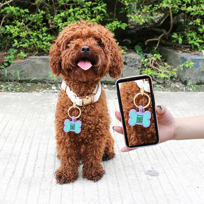 PAISEN Gepersonaliseerde aangepaste honden tags gegraveerde 3D QR code honden katten kraag siliconen pet tag