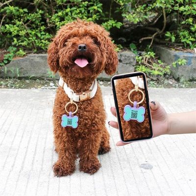 Groothandel laag MOQ Goedkoop verschillende vorm vele kleuren voor opties siliconen lege hond tag naam ID tag